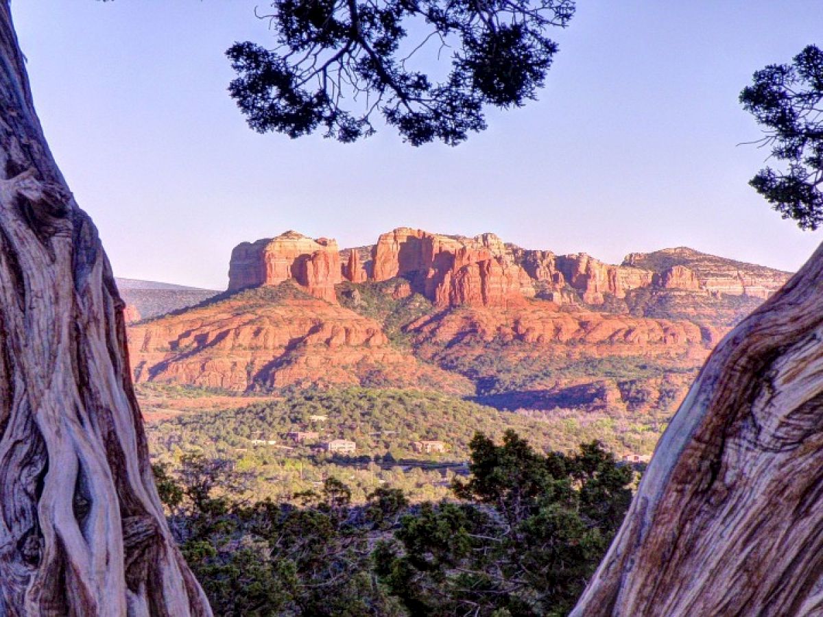 A scenic view of red rock formations framed by two large, twisted tree trunks, set against a clear blue sky and green vegetation in the foreground.