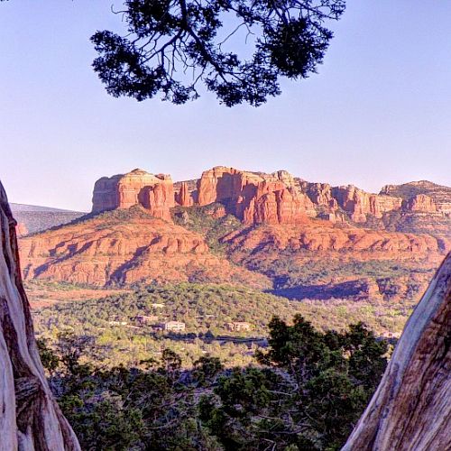 A breathtaking view of red rock formations framed by two twisted tree trunks, with clear skies and lush greenery in the foreground.