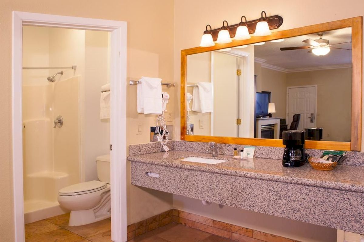 A bathroom with a vanity area, large mirror, and sink; adjacent shower and toilet. A coffee maker and amenities sit on the counter.