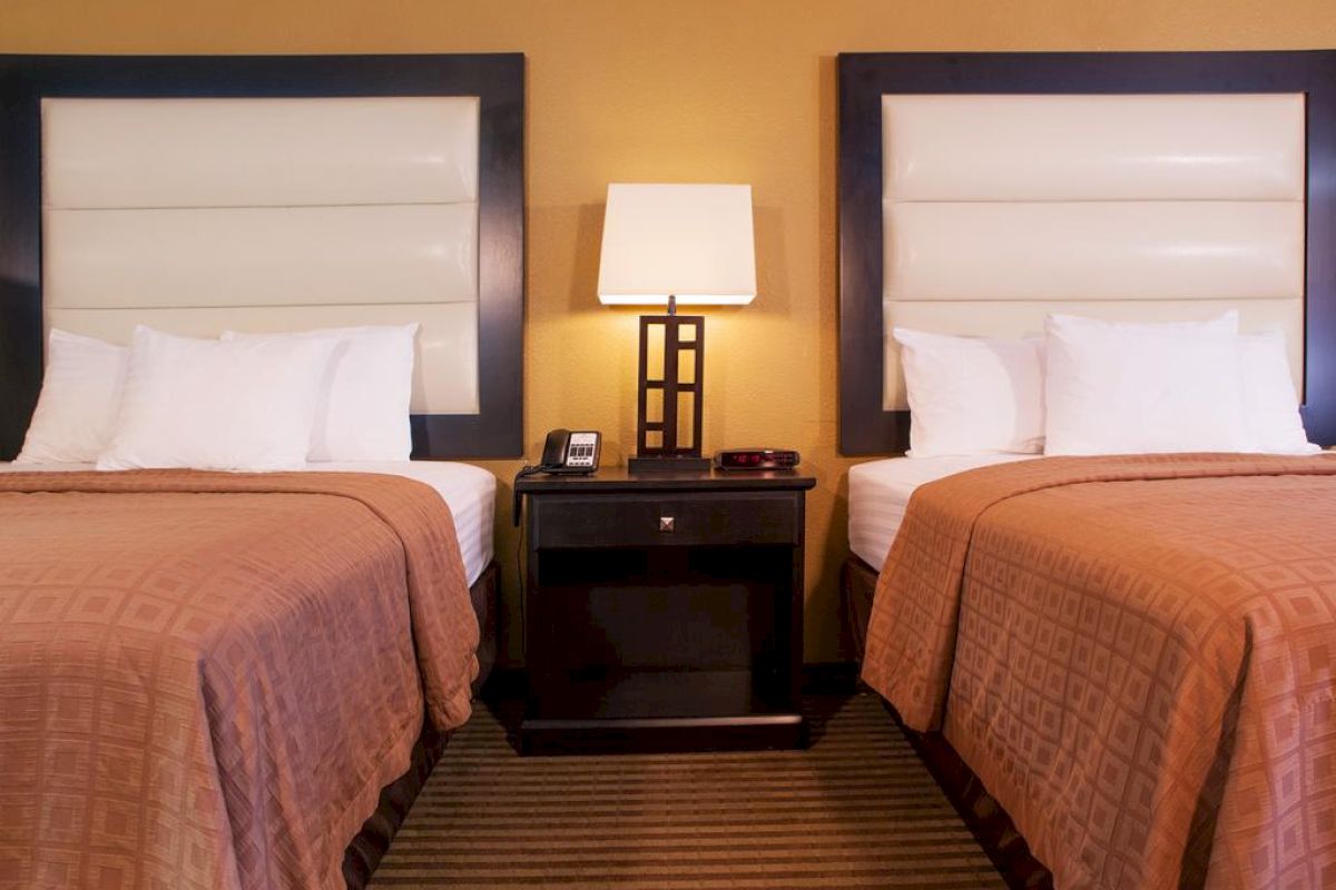 A hotel room with two double beds, each with white pillows and brown bedspreads, a striped carpet, and a nightstand with a lamp and phone in between.